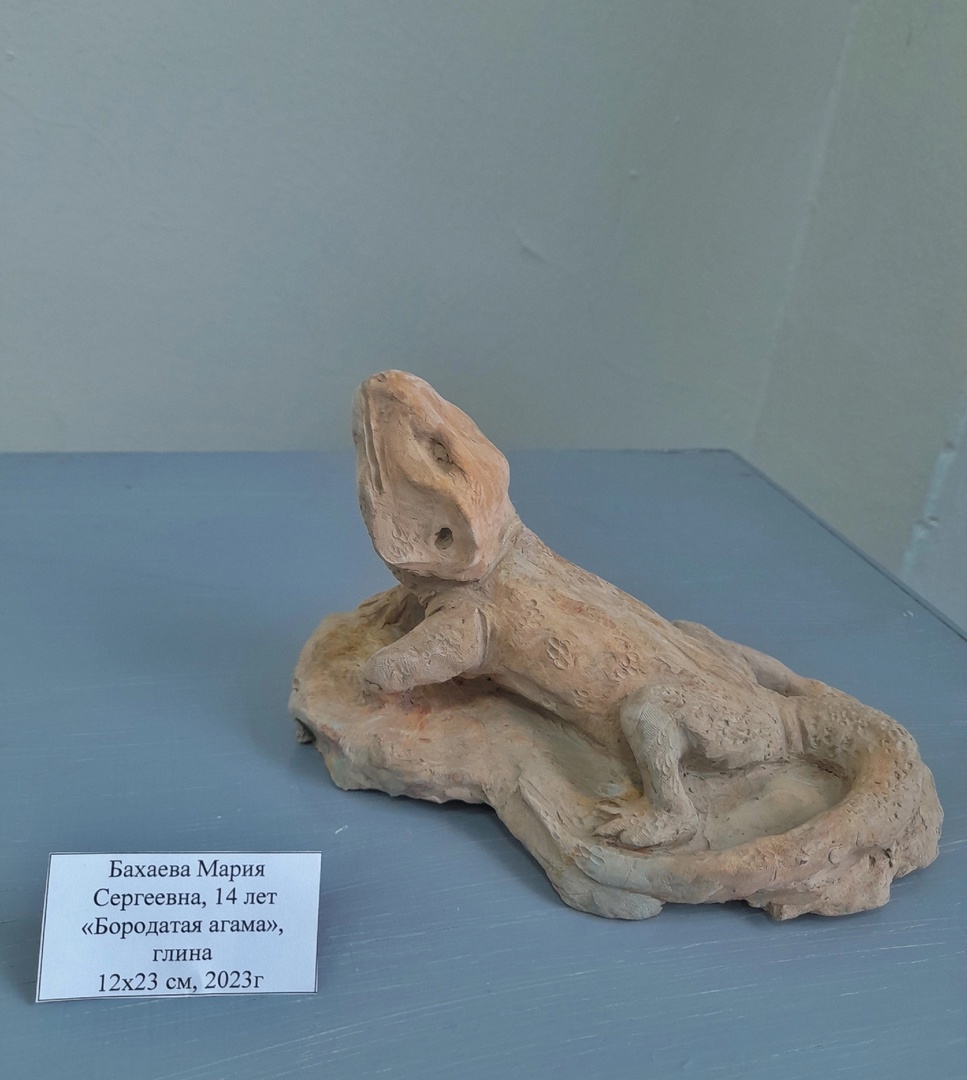 Внутришкольный отбор на V Межрегиональную олимпиаду 