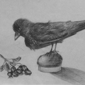 Изображение 3