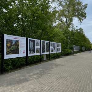 Изображение 8