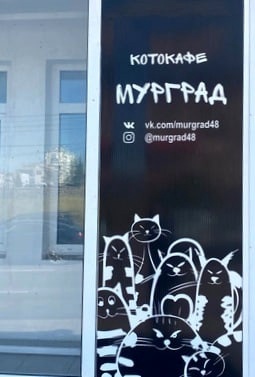 Учиться всегда...учиться везде!!!