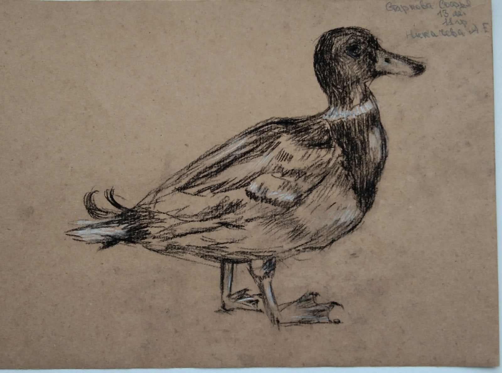 Итоги школьного очного конкурса 