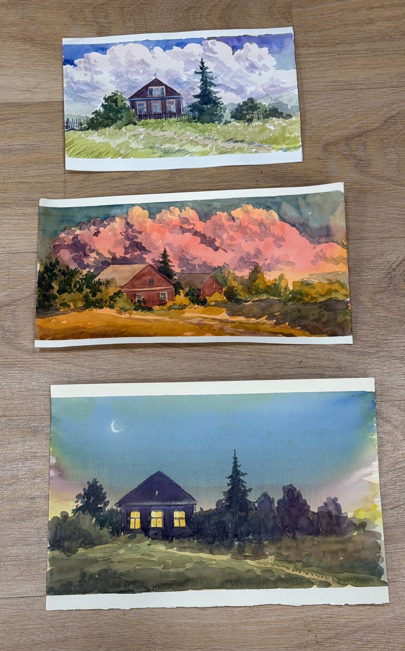 Мастер-класс преподавателя художественной школы Сергея Андрияки Анны Юрьевны Полинской