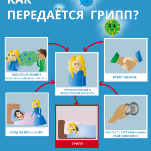 Изображение 10