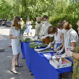 Изображение 10