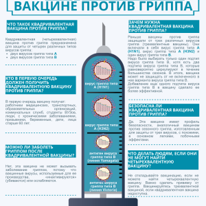 Изображение 12