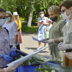 Изображение 12