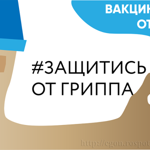 Изображение 17