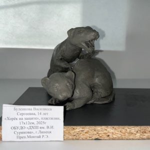 Изображение 2