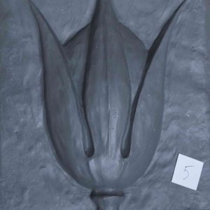 Изображение 35