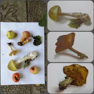 Изображение 4