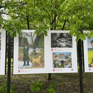 Изображение 5