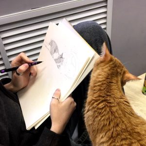 Изображение 6