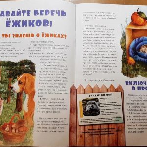 Изображение 7