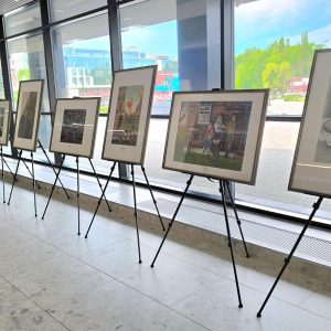 Изображение 8