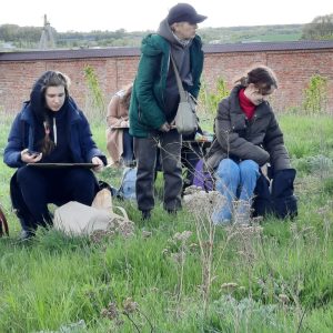 Изображение 8