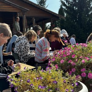 Изображение 9